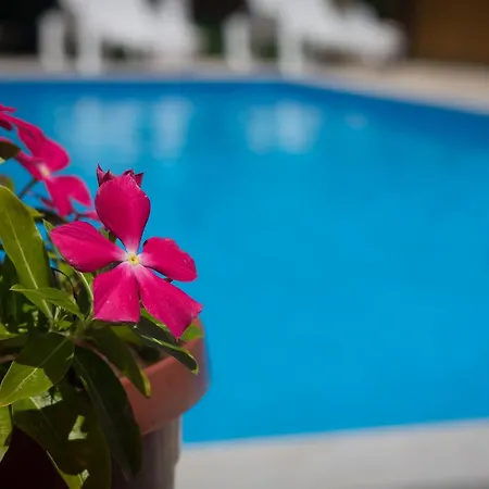 Villa Blossom Blagaj