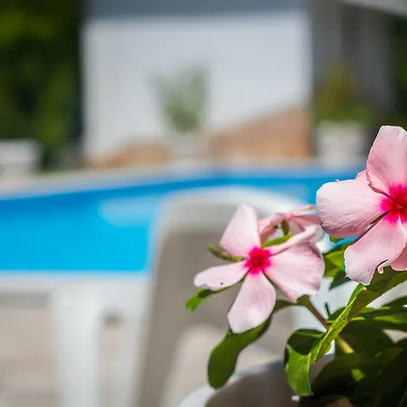 Villa Blossom *